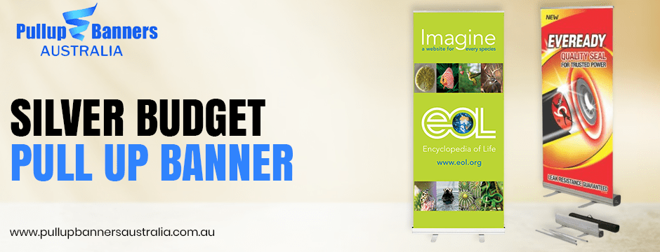 Silver Budget pull up banner